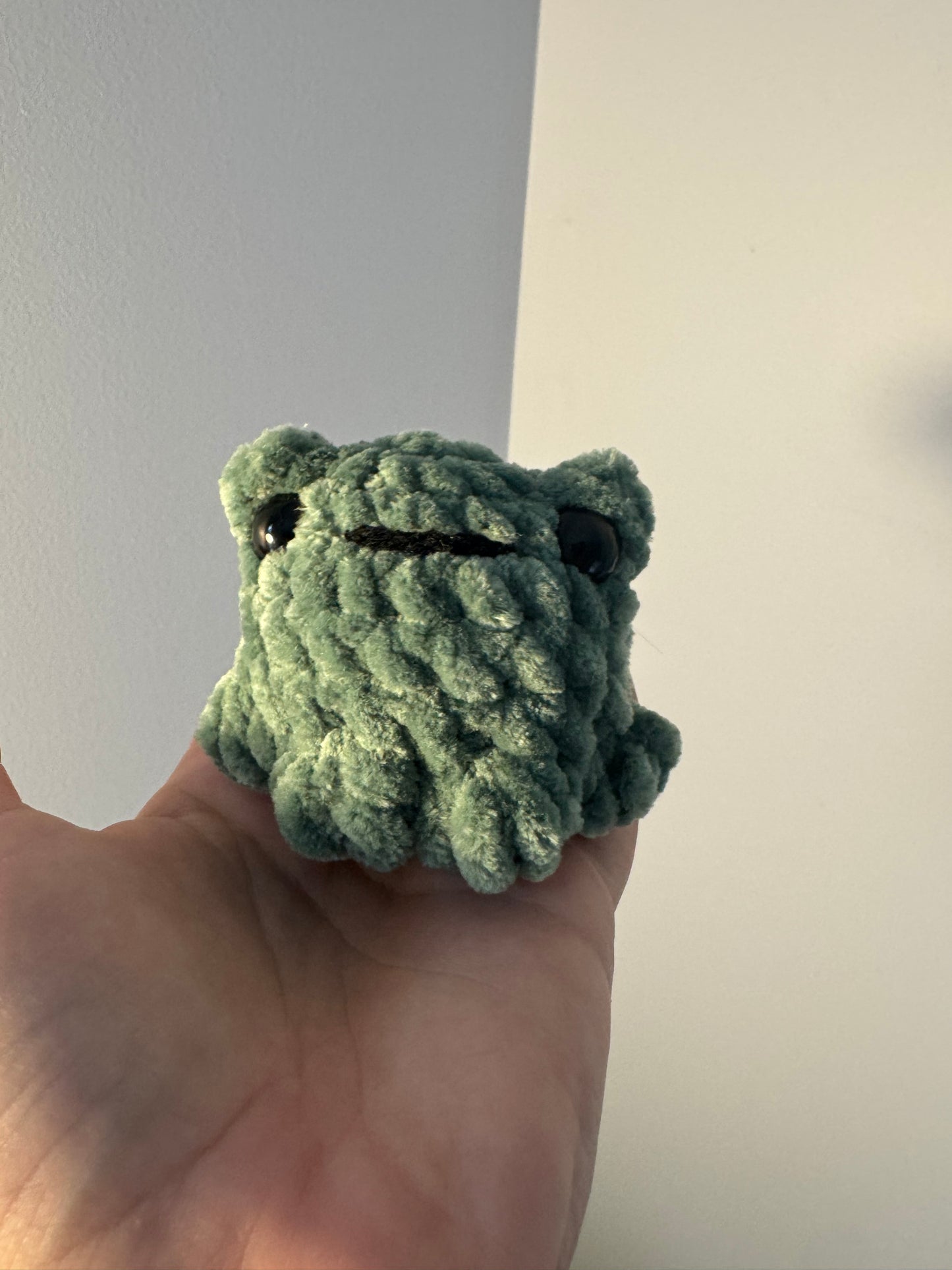Small Crochet Pocket Frog Amigurumi Plushie Toy