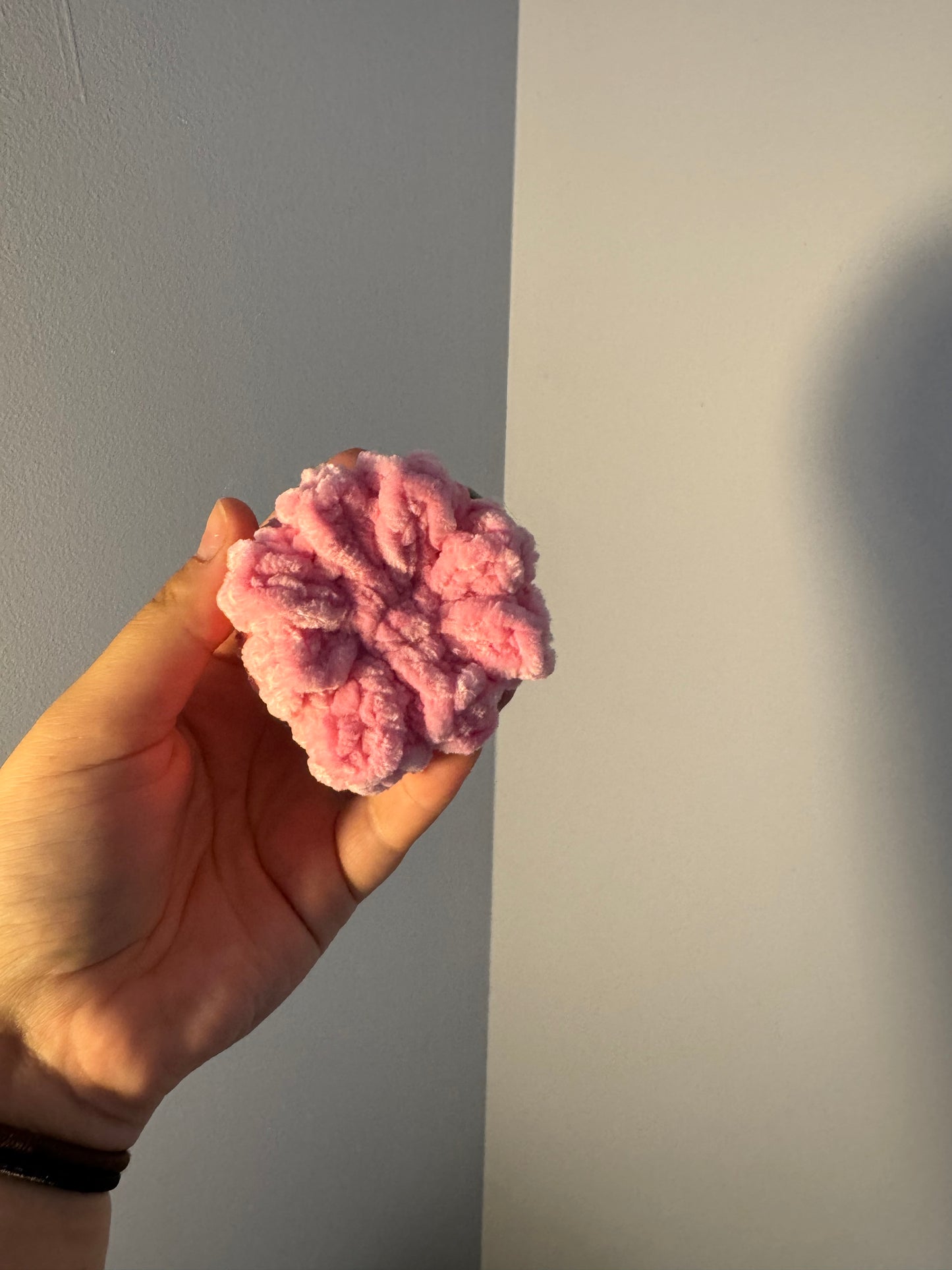 Mystery Crochet Octopi Amigurumi Buddies